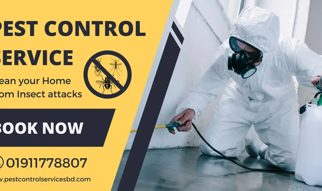 Ultimate Guide to Pest Control Services in Azampur, Dhaka – Best Way Protect Your Home